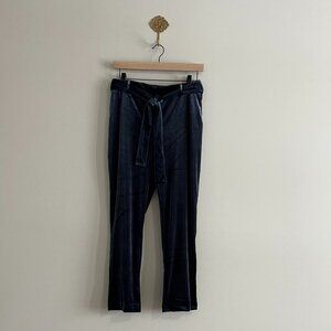 NWT Jules & Leopold Blue Velvet Pull On Ankle Pants | Slim Leg | Small
